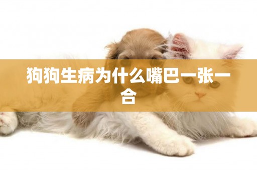狗狗生病為什么嘴巴一張一合