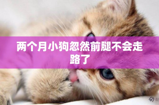 兩個月小狗忽然前腿不會走路了