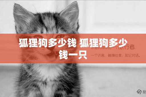 狐貍狗多少錢 狐貍狗多少錢一只
