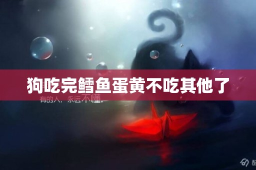 狗吃完鱈魚蛋黃不吃其他了