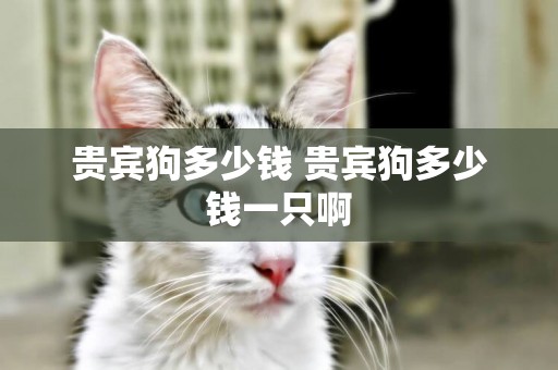 貴賓狗多少錢 貴賓狗多少錢一只啊