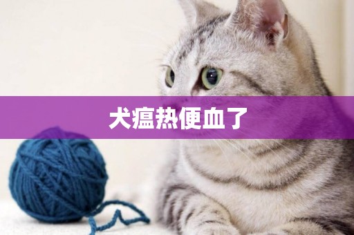 犬瘟熱便血了