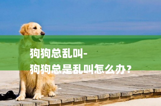 狗狗總亂叫-
狗狗總是亂叫怎么辦？