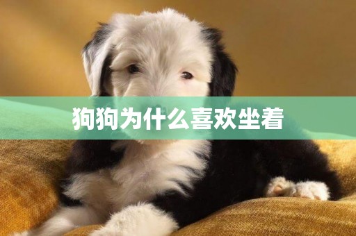 狗狗為什么喜歡坐著