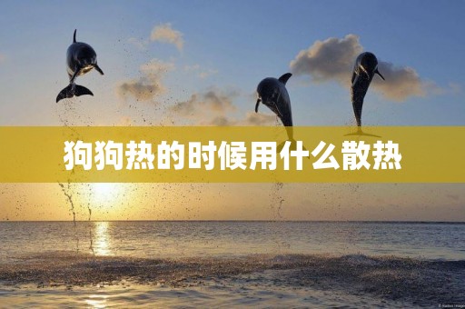 狗狗熱的時候用什么散熱