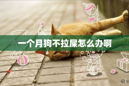 一個月狗不拉屎怎么辦啊