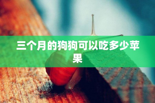 三個月的狗狗可以吃多少蘋果