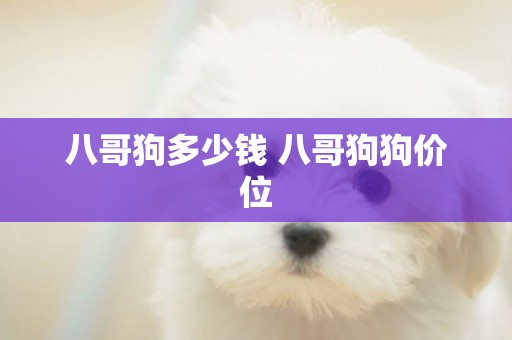 八哥狗多少錢 八哥狗狗價位