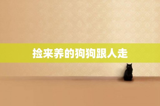 撿來養的狗狗跟人走
