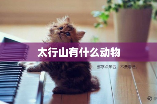 太行山有什么動物
