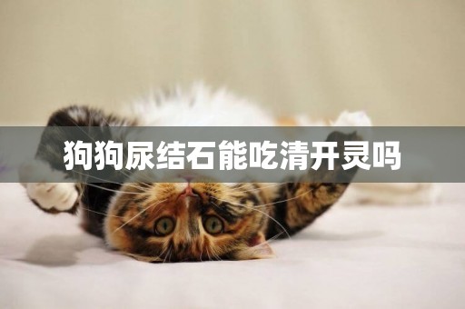 狗狗尿結石能吃清開靈嗎