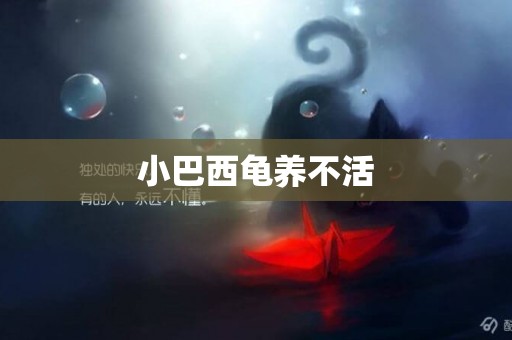 小巴西龜養不活