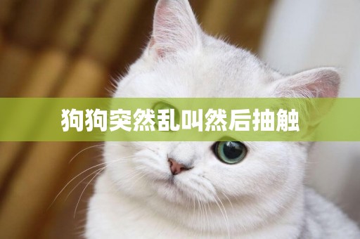 狗狗突然亂叫然后抽觸