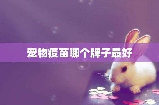 寵物疫苗哪個牌子最好