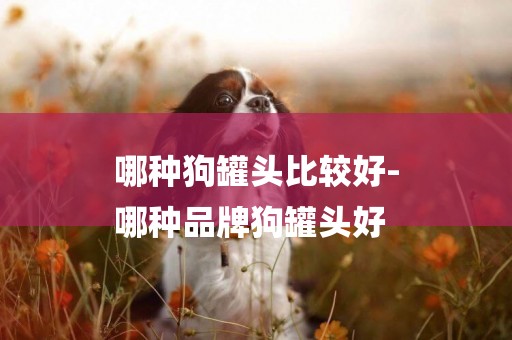 哪種狗罐頭比較好-
哪種品牌狗罐頭好