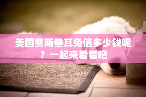 美國費斯垂耳兔值多少錢呢？一起來看看吧