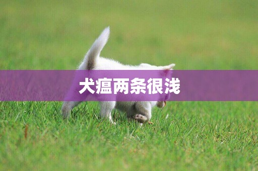 犬瘟兩條很淺