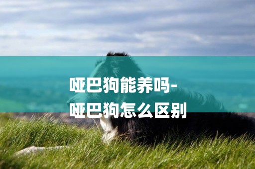 啞巴狗能養嗎-
啞巴狗怎么區別