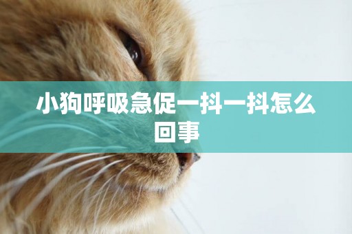 小狗呼吸急促一抖一抖怎么回事