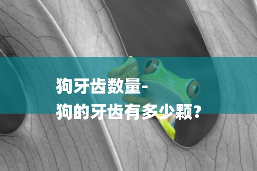狗牙齒數量-
狗的牙齒有多少顆？