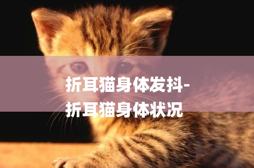 折耳貓身體發抖-
折耳貓身體狀況