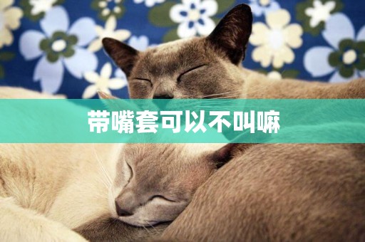 帶嘴套可以不叫嘛