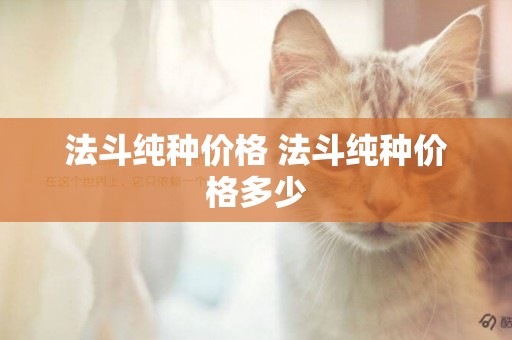 法斗純種價格 法斗純種價格多少