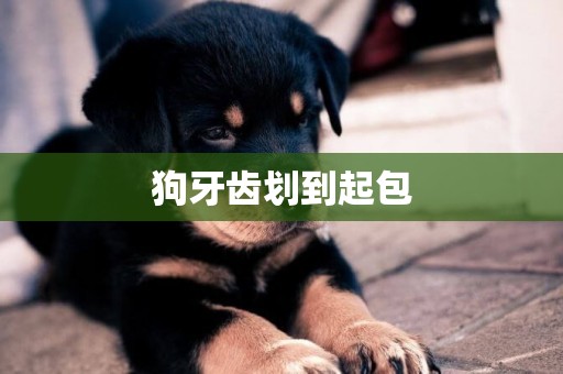狗牙齒劃到起包