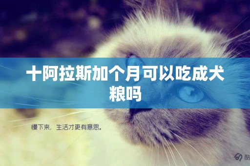 十阿拉斯加個月可以吃成犬糧嗎
