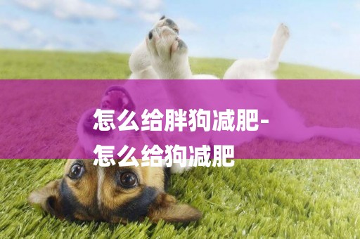 怎么給胖狗減肥-
怎么給狗減肥