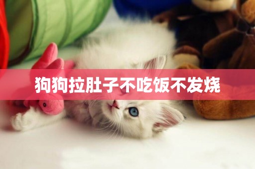 狗狗拉肚子不吃飯不發燒
