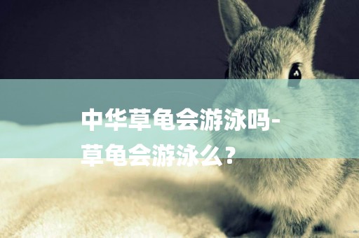 中華草龜會游泳嗎-
草龜會游泳么？