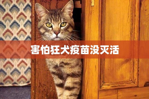 害怕狂犬疫苗沒滅活