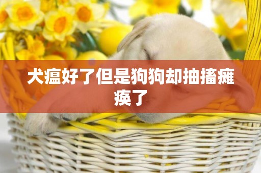 犬瘟好了但是狗狗卻抽搐癱瘓了