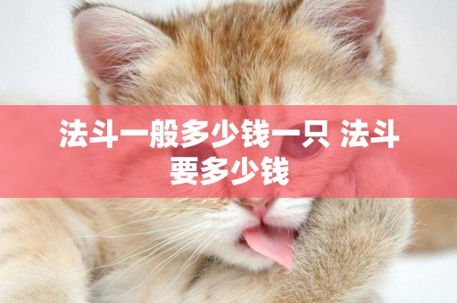 法斗一般多少錢一只 法斗要多少錢