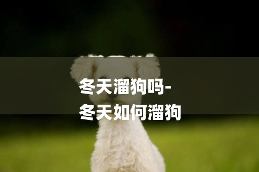 冬天溜狗嗎-
冬天如何溜狗