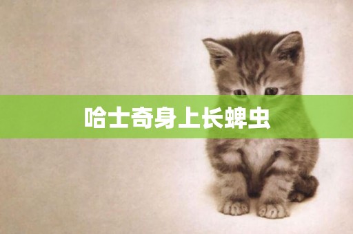 哈士奇身上長蜱蟲