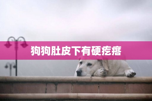 狗狗肚皮下有硬疙瘩