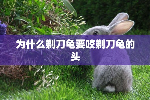 為什么剃刀龜要咬剃刀龜的頭