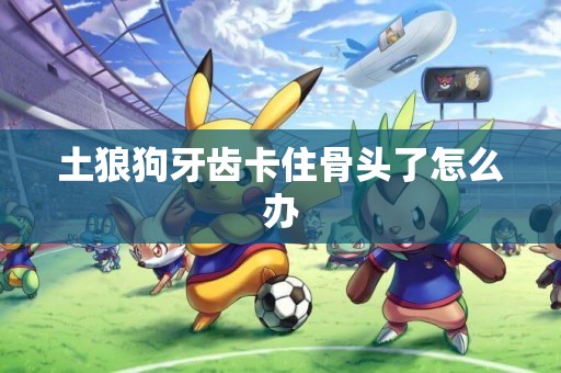 土狼狗牙齒卡住骨頭了怎么辦