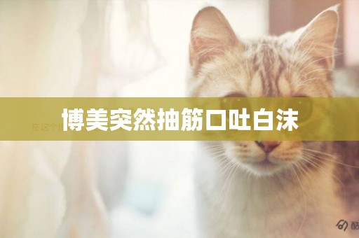 博美突然抽筋口吐白沫