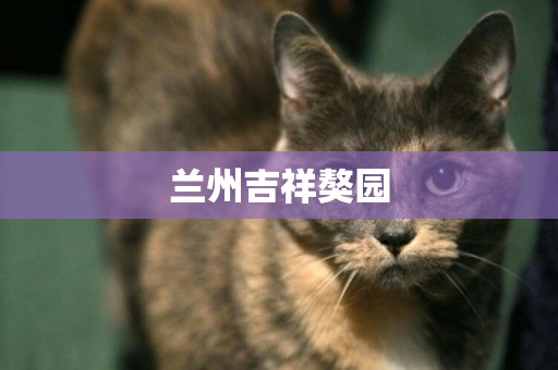 蘭州吉祥獒園