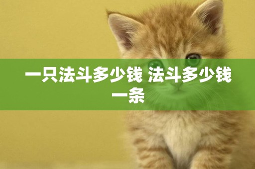 一只法斗多少錢 法斗多少錢一條