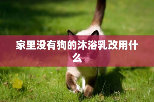 家里沒有狗的沐浴乳改用什么