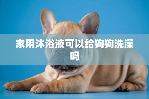 家用沐浴液可以給狗狗洗澡嗎