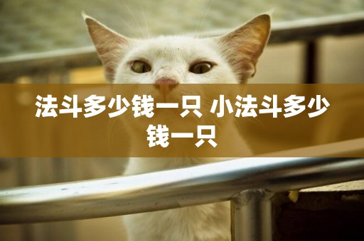 法斗多少錢一只 小法斗多少錢一只
