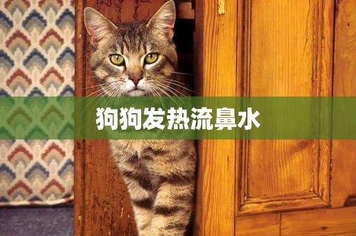 狗狗發熱流鼻水