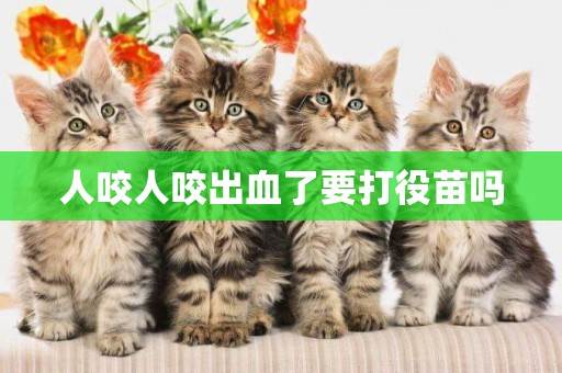 人咬人咬出血了要打役苗嗎