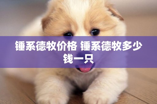 錘系德牧價格 錘系德牧多少錢一只