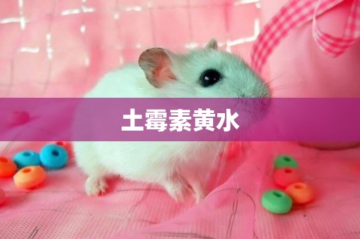 土霉素黃水